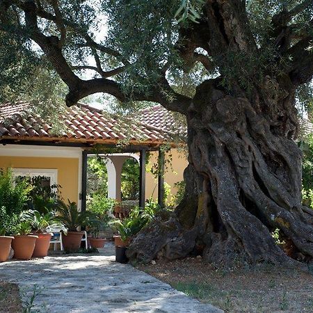 Villa Christina Città di Zante Esterno foto