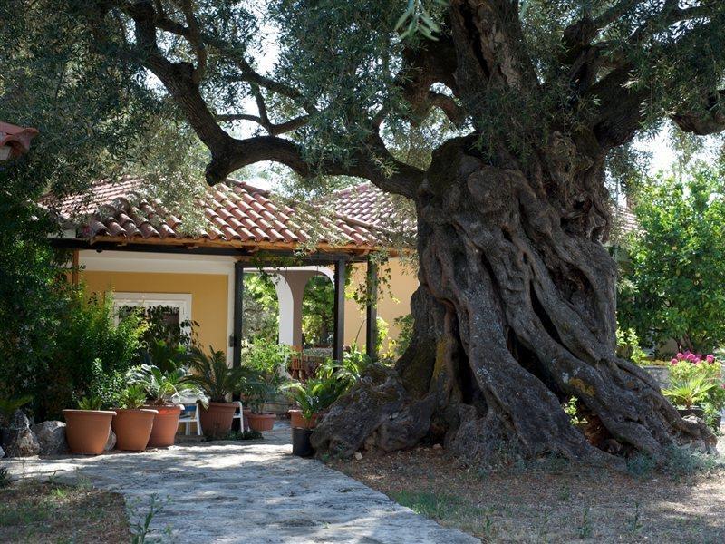 Villa Christina Città di Zante Esterno foto